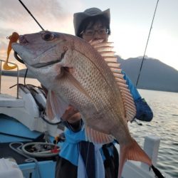 海晴丸 釣果