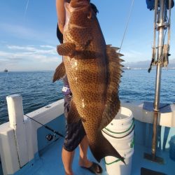 海晴丸 釣果