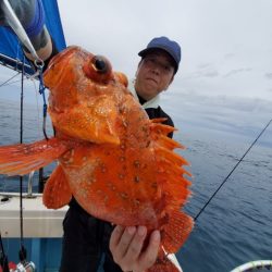海晴丸 釣果