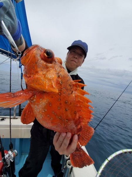 海晴丸 釣果