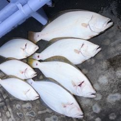 小樽港遊漁船SHAKE 釣果