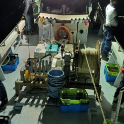 LUSTER『ラスター』 釣果