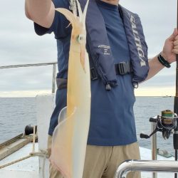 LUSTER『ラスター』 釣果