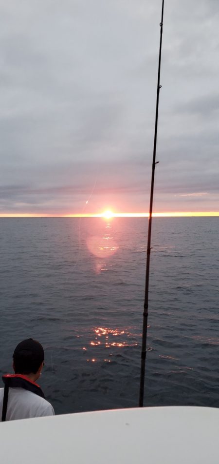 LUSTER『ラスター』 釣果