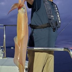 LUSTER『ラスター』 釣果