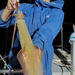 LUSTER『ラスター』 釣果