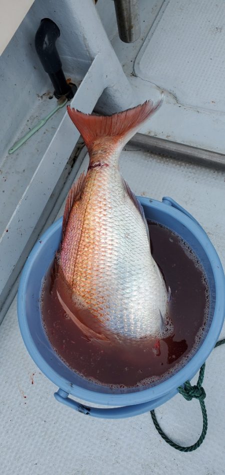 LUSTER『ラスター』 釣果