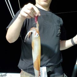 LUSTER『ラスター』 釣果