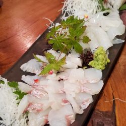 LUSTER『ラスター』 釣果