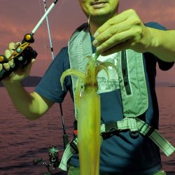 LUSTER『ラスター』 釣果