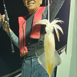 LUSTER『ラスター』 釣果