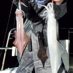 LUSTER『ラスター』 釣果