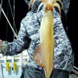 LUSTER『ラスター』 釣果