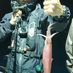 LUSTER『ラスター』 釣果