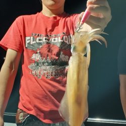 LUSTER『ラスター』 釣果