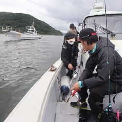 エル・クルーズ 釣果