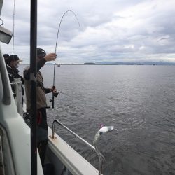 エル・クルーズ 釣果