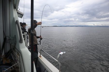 エル・クルーズ 釣果