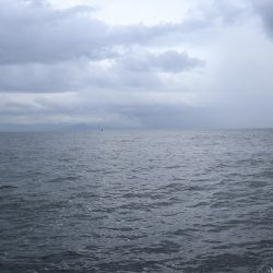 エル・クルーズ 釣果