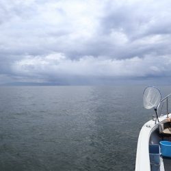 エル・クルーズ 釣果