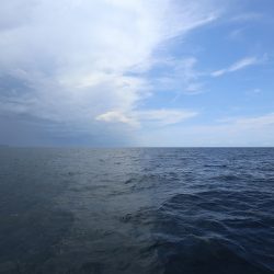 エル・クルーズ 釣果