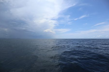 エル・クルーズ 釣果