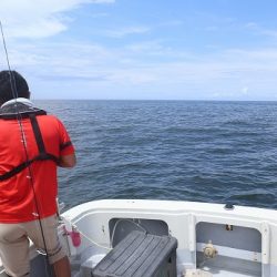 エル・クルーズ 釣果