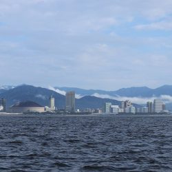 エル・クルーズ 釣果