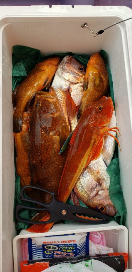 海龍丸(石川) 釣果