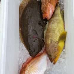 海龍丸(石川) 釣果