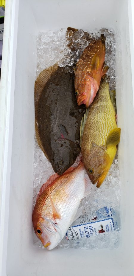 海龍丸(石川) 釣果