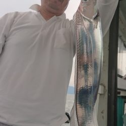 シースナイパー海龍 釣果