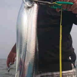 シースナイパー海龍 釣果