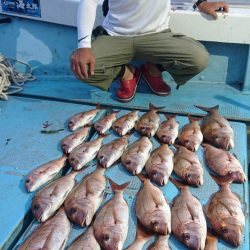 シースナイパー海龍 釣果