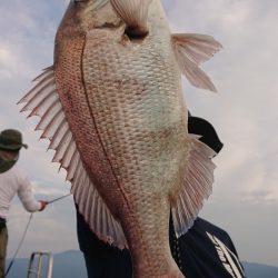 シースナイパー海龍 釣果