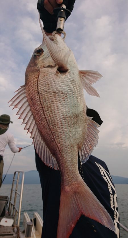 シースナイパー海龍 釣果