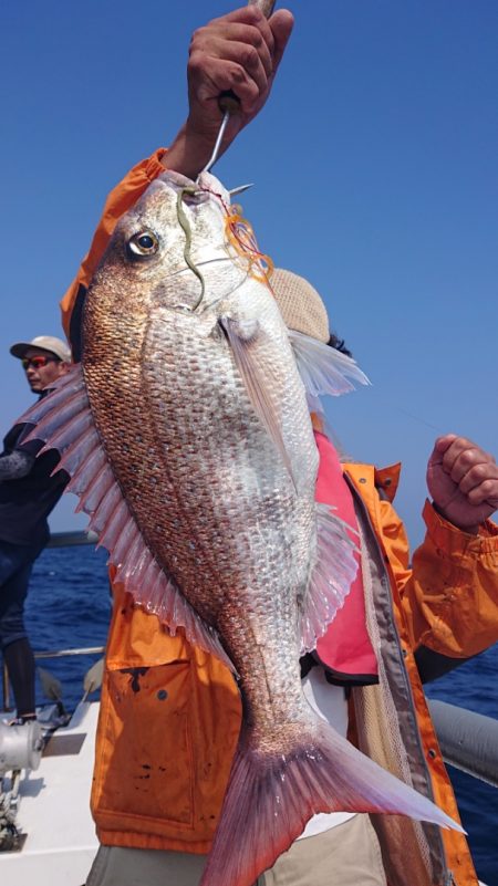 ARCADIAⅡ (アルカディアⅡ) 釣果