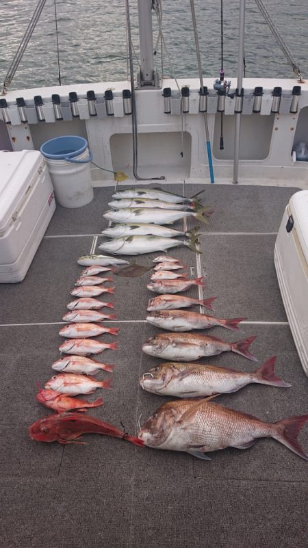 ARCADIAⅡ （アルカディアⅡ） 釣果…