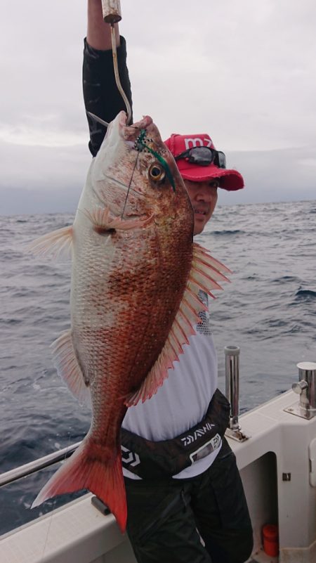 ARCADIAⅡ (アルカディアⅡ) 釣果