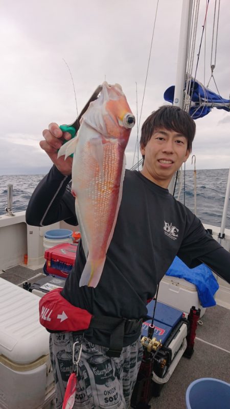 ARCADIAⅡ (アルカディアⅡ) 釣果