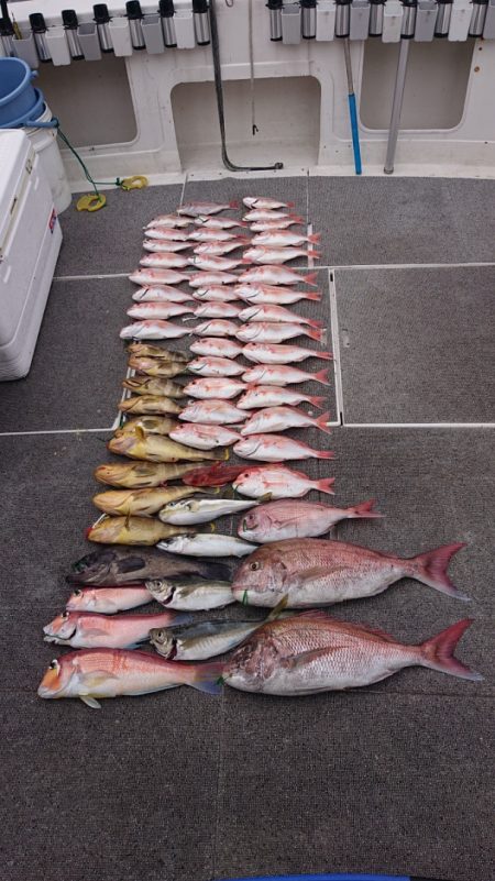 ARCADIAⅡ （アルカディアⅡ） 釣果…