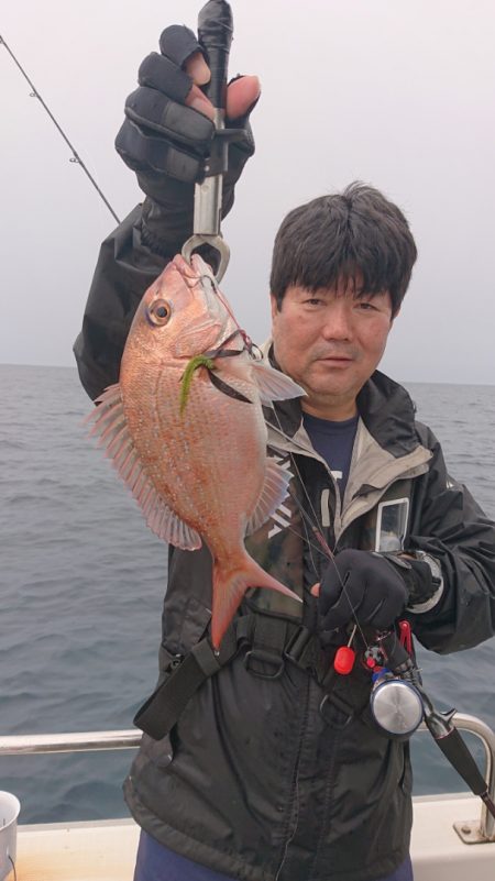 ARCADIAⅡ (アルカディアⅡ) 釣果