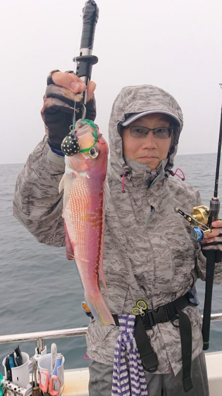 ARCADIAⅡ (アルカディアⅡ) 釣果