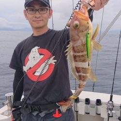 ARCADIAⅡ (アルカディアⅡ) 釣果