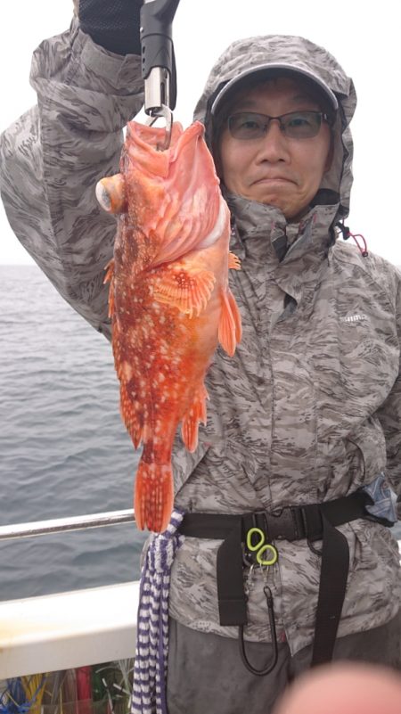 ARCADIAⅡ (アルカディアⅡ) 釣果