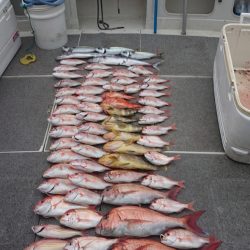 ARCADIAⅡ (アルカディアⅡ) 釣果