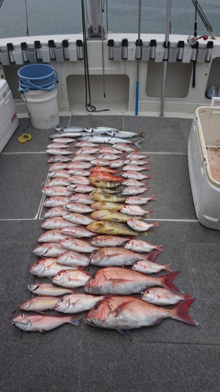 ARCADIAⅡ (アルカディアⅡ) 釣果