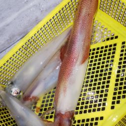 第二龍勢丸 釣果