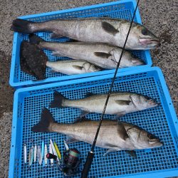 第三共栄丸 釣果