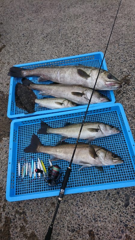 第三共栄丸 釣果